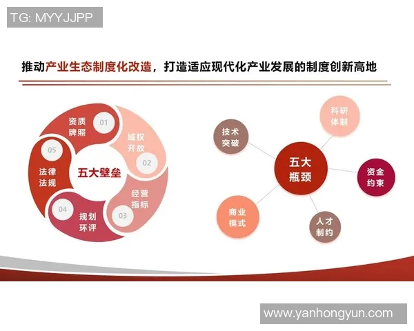 构建高效欧陆平台服务网格架构的创新策略与实践探索