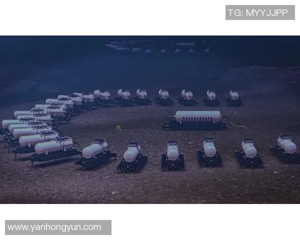 与体育数据公司深度合作确保比赛数据的真实性与可靠性